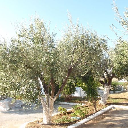 Amaryllis Front Beach Hotel Λάρδος Εξωτερικό φωτογραφία