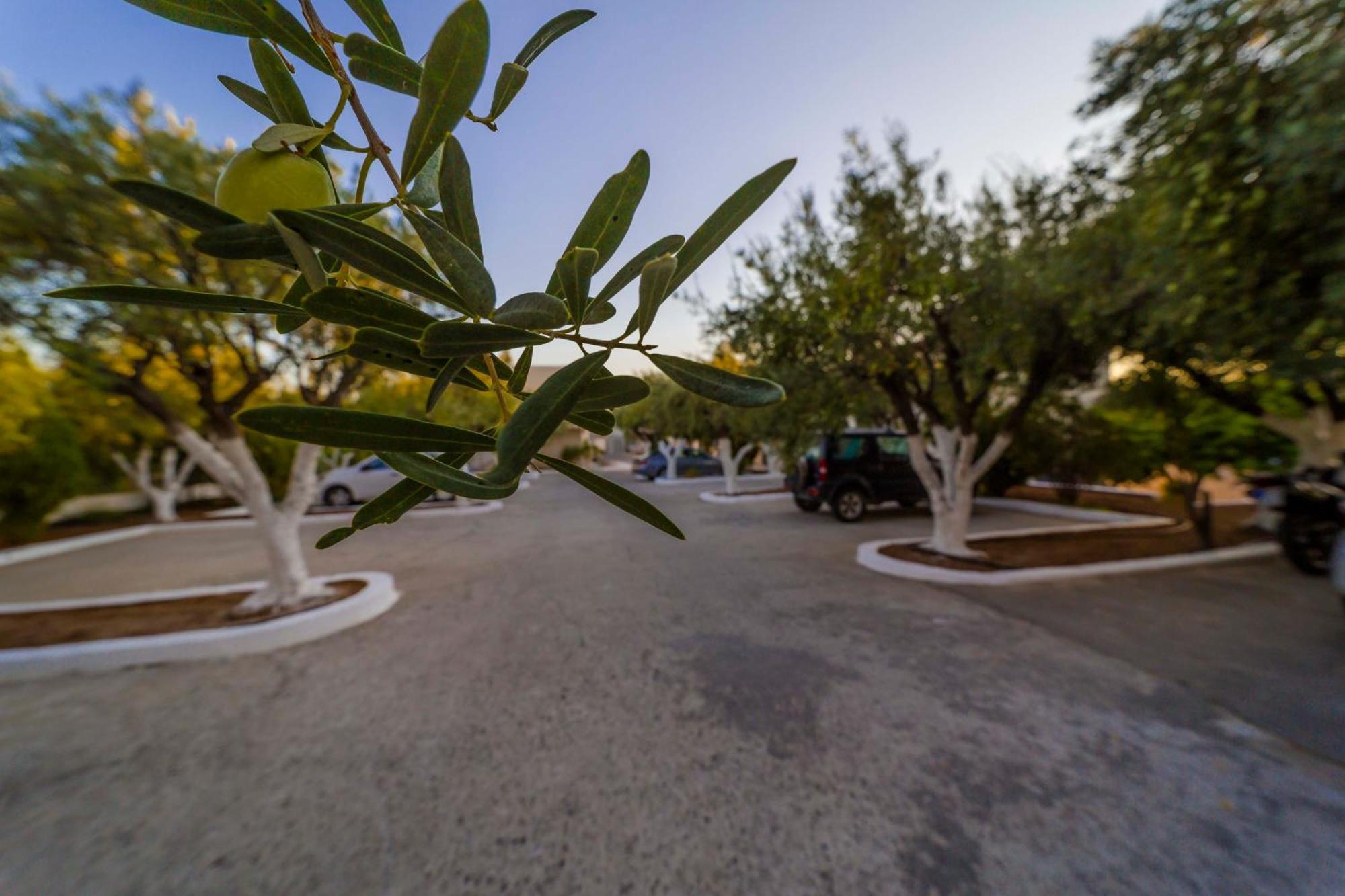 Amaryllis Front Beach Hotel Λάρδος Εξωτερικό φωτογραφία